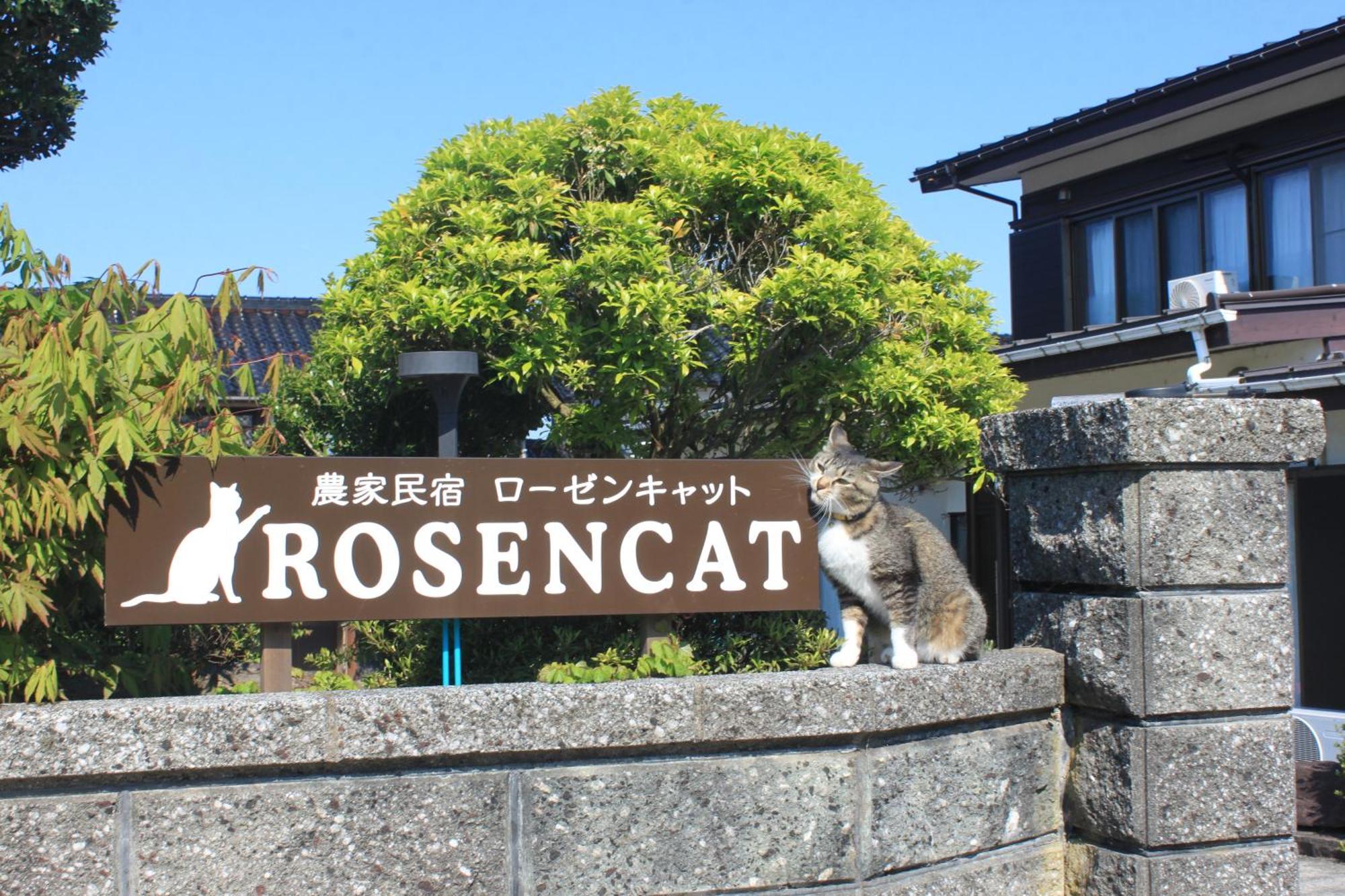 Vila Rosencat Sado Exteriér fotografie